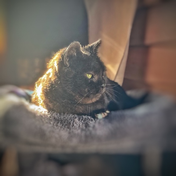 Eli! @RenegadeRevivalVintage & @LightlySaucedRetro - Picture 4 of 12